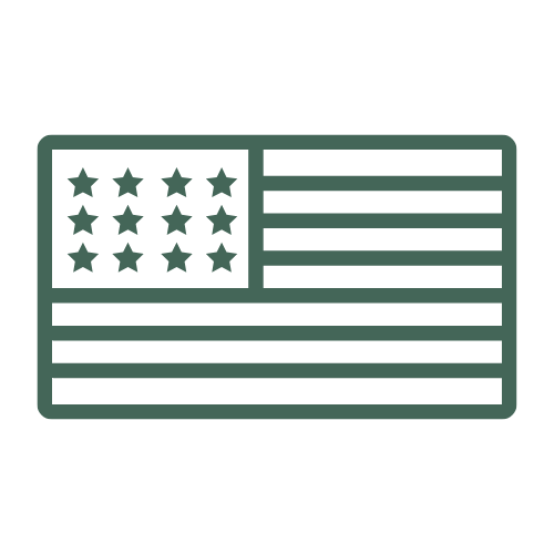 USA icon