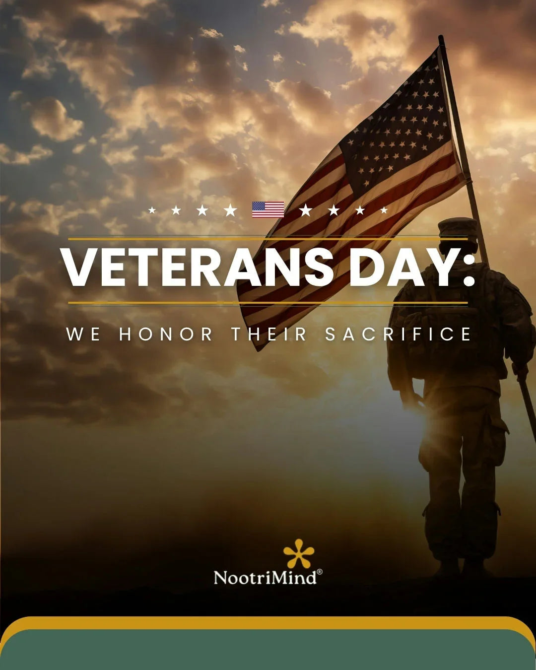 Veterans Day: Honor, Healing, and Service - NootriMind
