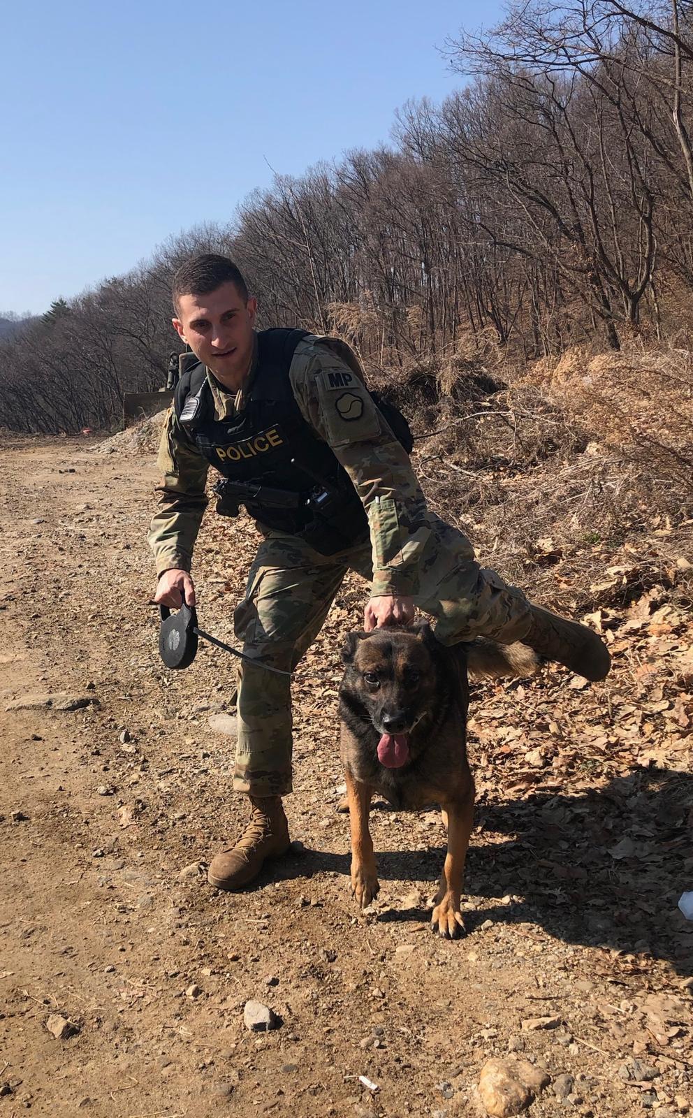 Nootropics for Veterans: Post-Service Brain Health Guide