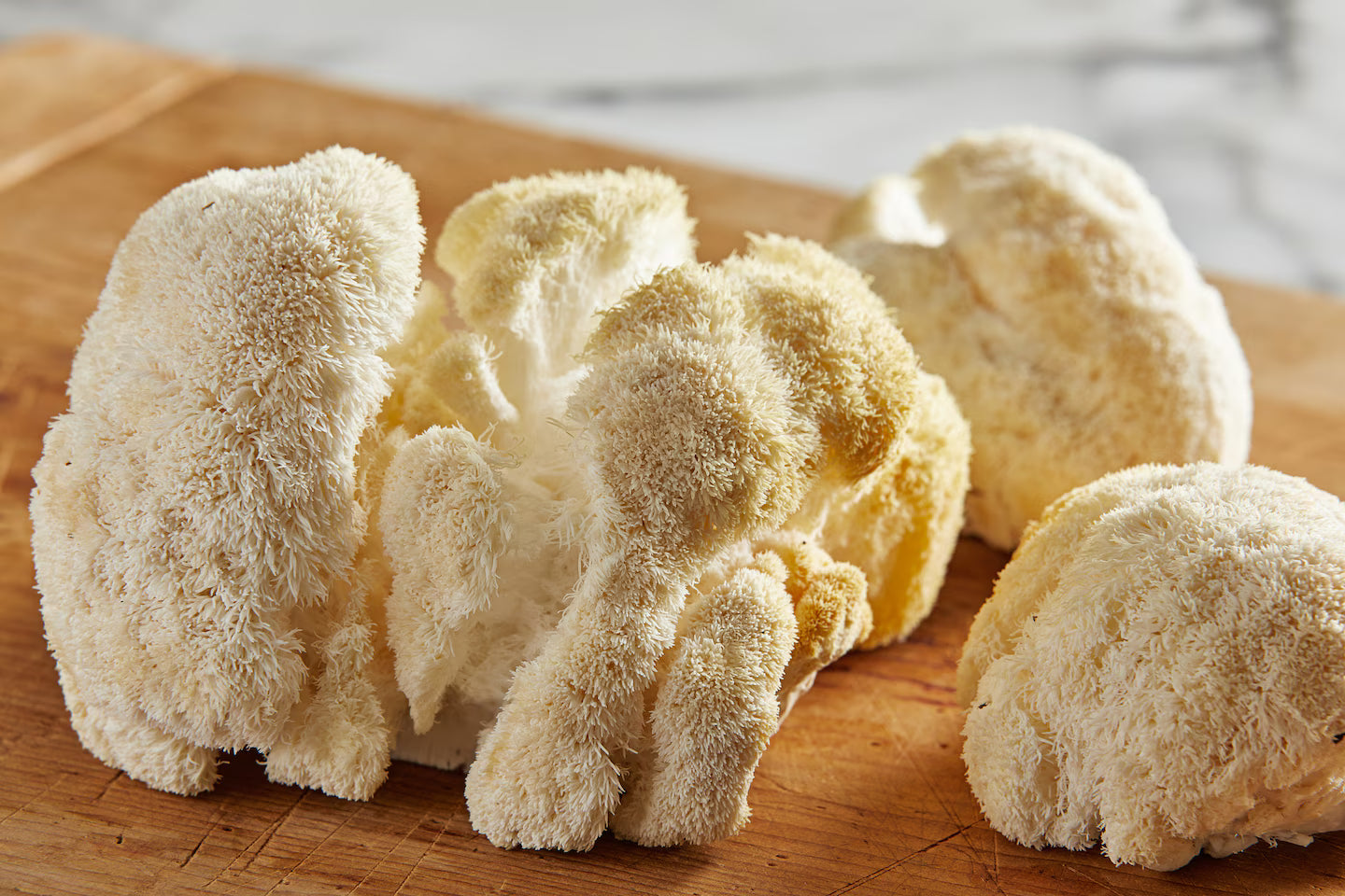 Lion’s Mane mushroom supplement for brain health and energy