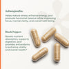 NootriMind® Ashwagandha+ - NootriMind