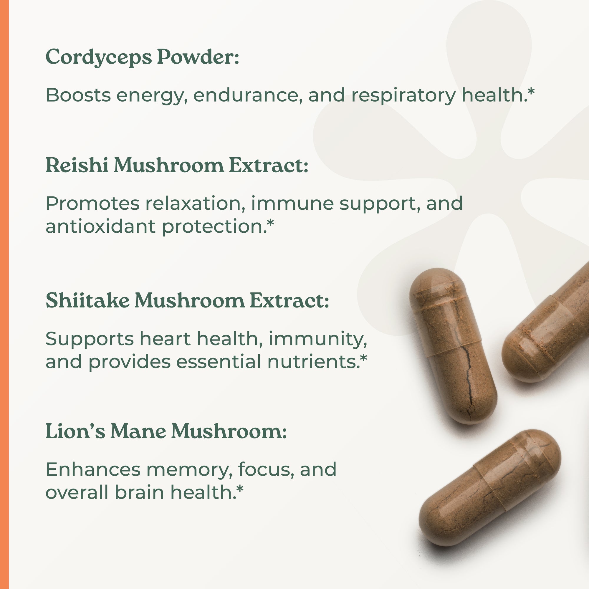 NootriMind® Mushroom+ Blend - NootriMind