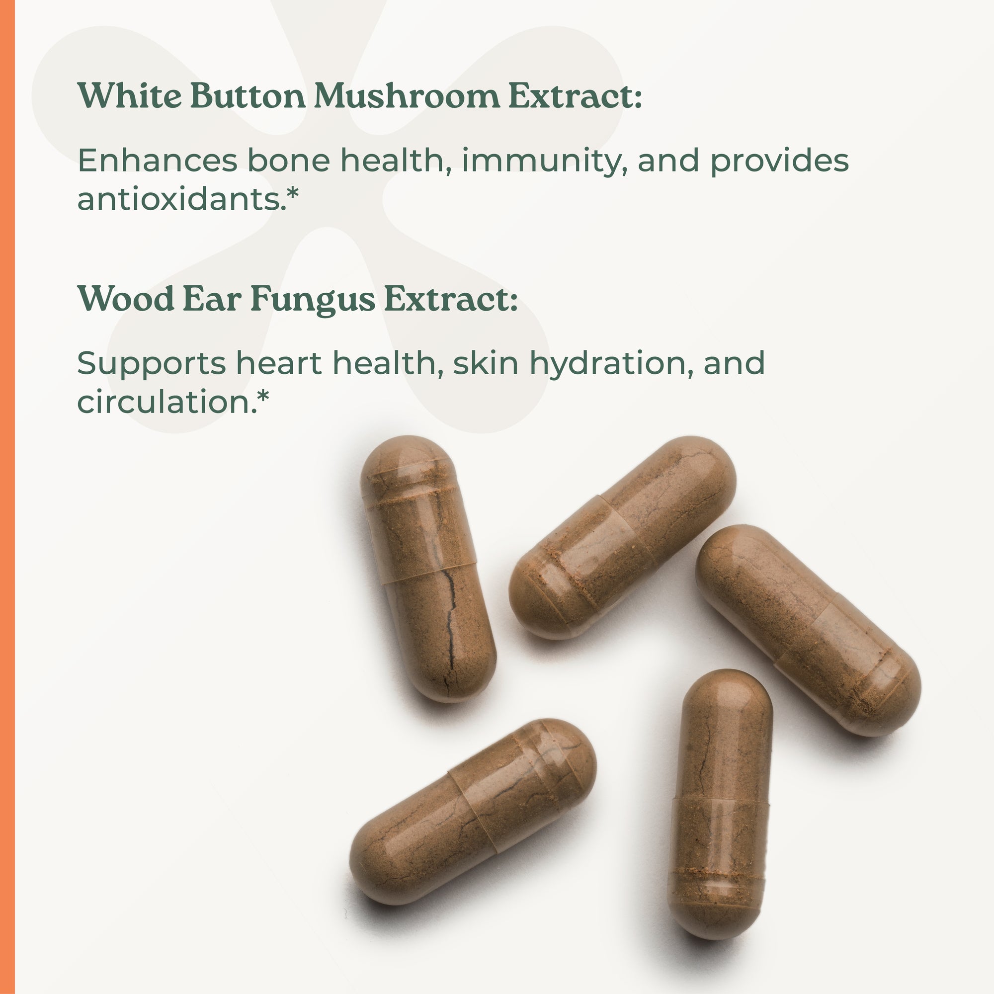 NootriMind® Mushroom+ Blend - NootriMind