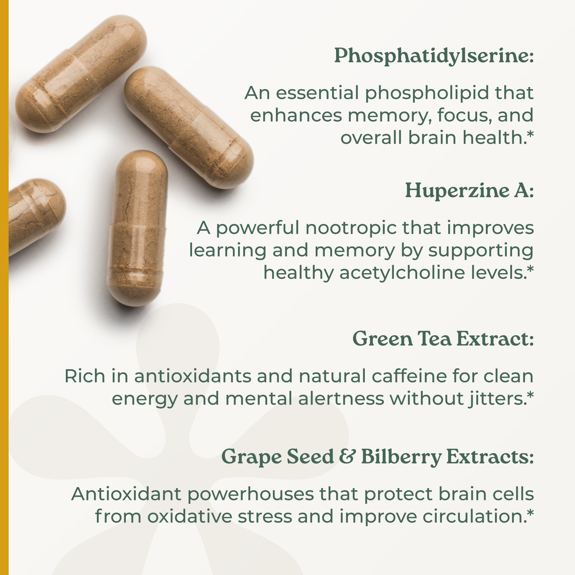 NootriMind® Original Complex - NootriMind